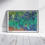 VAN GOGH -IRISES