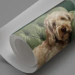 The Gentleman's Companion - Image 3